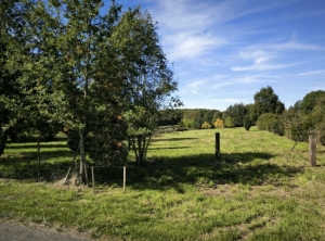 Building Plot with Services Nearby