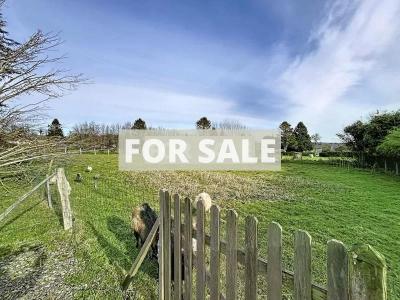 Detached Rural House with Open Views