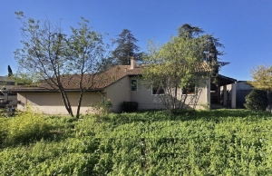 Detached House with Garden