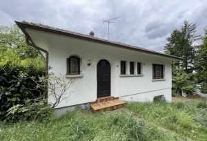 Detached House with Garden