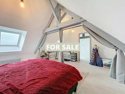 Detached House with Garden