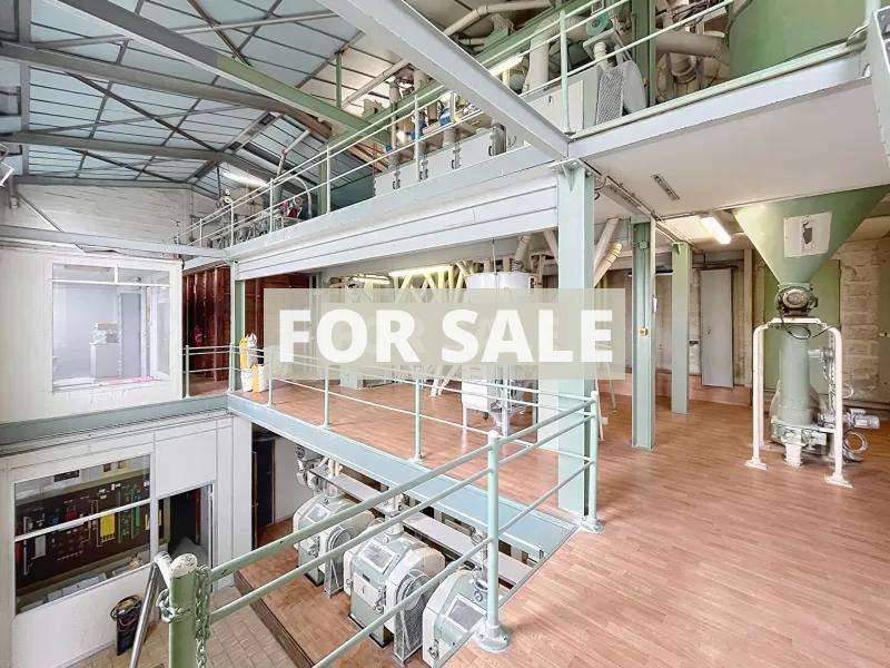 Manor House and Huge Outbuildings