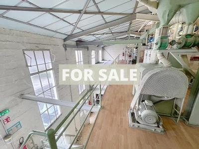 Manor House and Huge Outbuildings