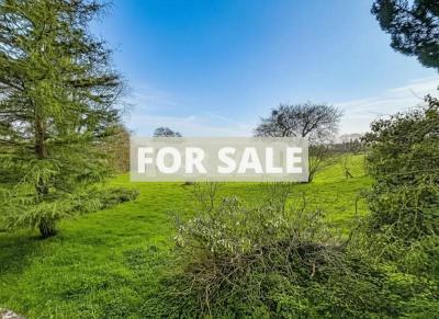 Manor House and Huge Outbuildings