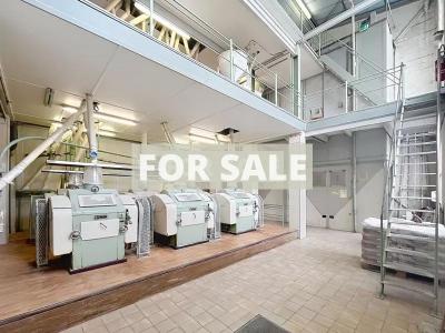 Manor House and Huge Outbuildings