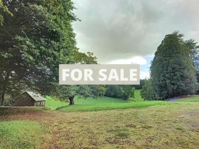 Detached Country House with Outbuilding