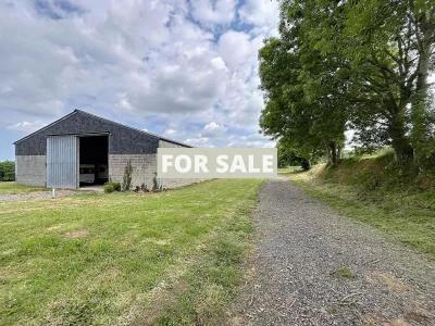 Detached Country House with Outbuilding