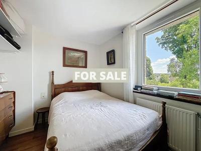 Beautiful House with Mature Gardens