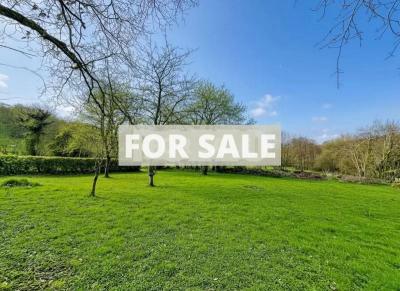 Manor House Style Property with Second House