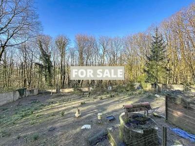 Detached Country House with Garden by the Coast