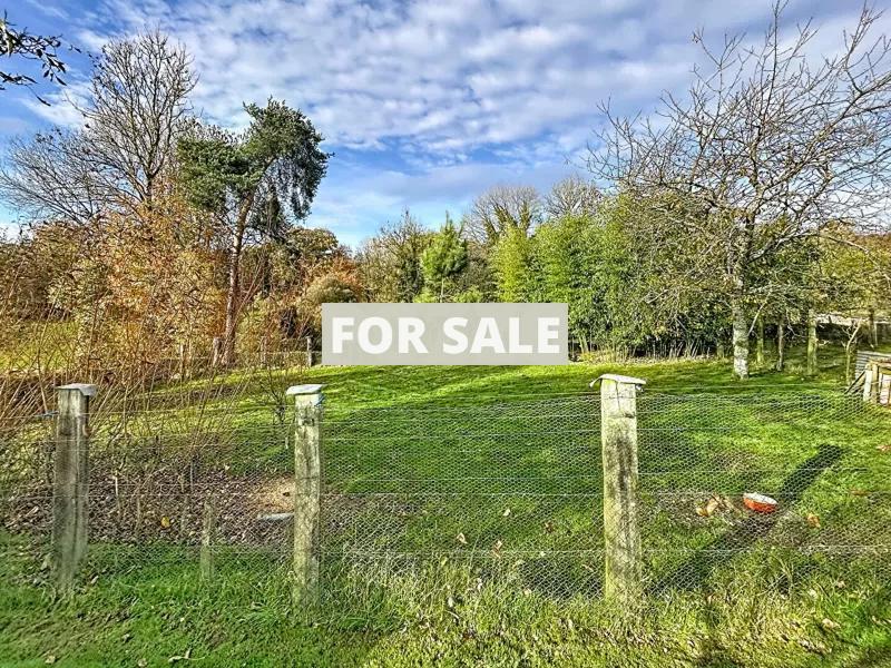 Detached House with Garden in Great Location