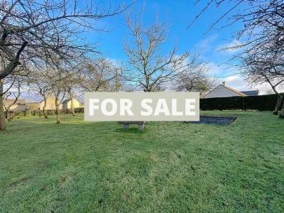 Property For Sale