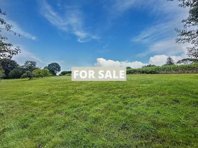 Detached Country House with Open Views