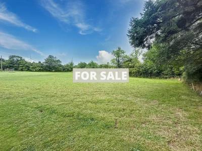 Detached Country House with Open Views