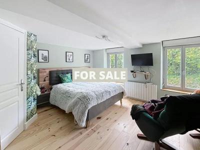 Detached House with Garden
