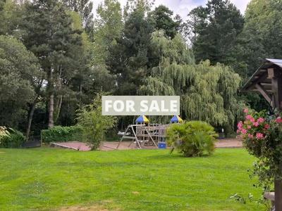 Main House with Glamping Activity in 1.4 Hectares