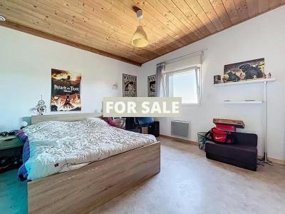Uber Contemporary Detached House