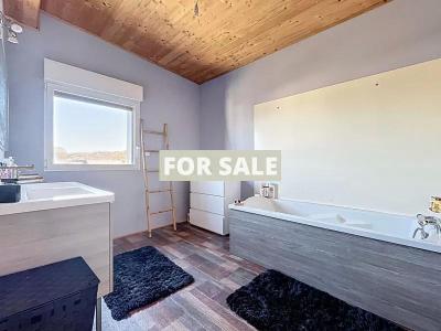 Uber Contemporary Detached House