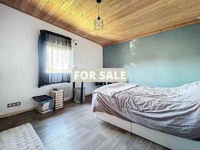 Uber Contemporary Detached House