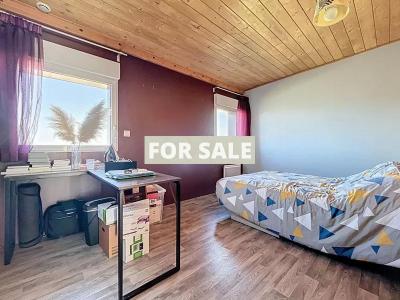 Uber Contemporary Detached House
