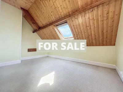 Detached House with Garden