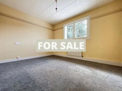 Detached House with Garden