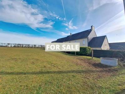 Detached House with Huge Outbuildings