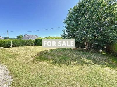 Detached House with Garden