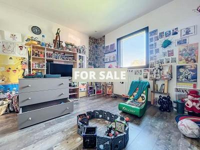 Uber Contemporary Detached House