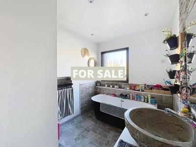 Uber Contemporary Detached House