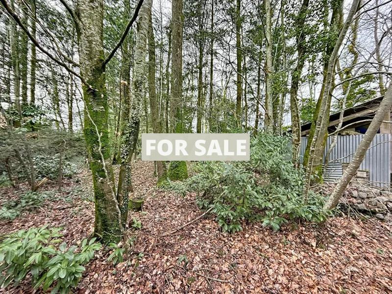 Detached Villa With Garden