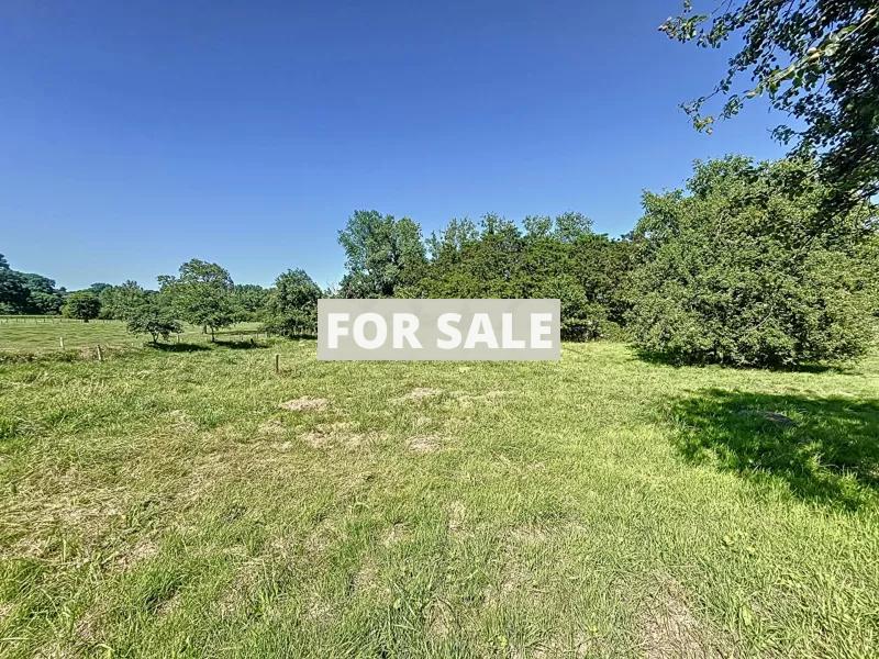 Detached Country House with Open Views
