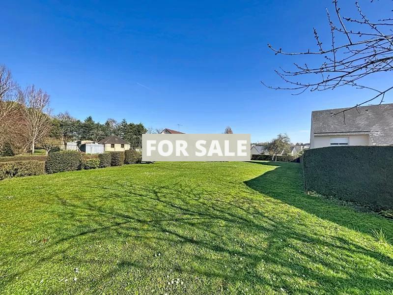 Habitable House with Much More Potential