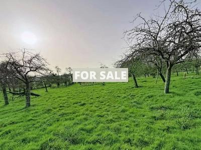 Detached Country House with Open Views