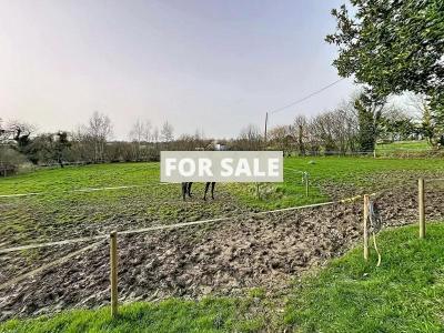 Detached Country House with Open Views
