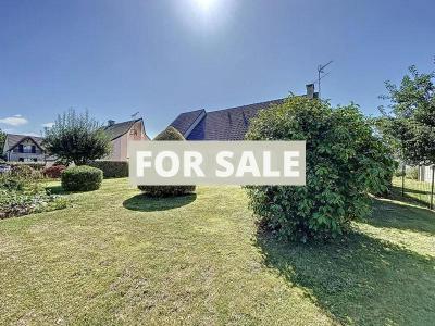 Contemporary Detached House with Mature Garden