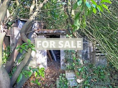 Town House with Rear Garden