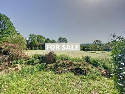 Beautiful Detached Cottage with Open View