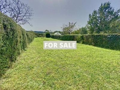 Beautiful Detached Cottage with Open View