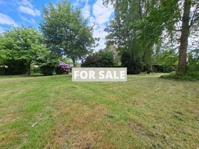 Manor House Style Property with Mature Garden