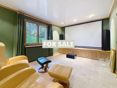 Very Impressive Detached House with Many Features