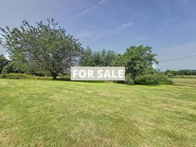 Detached Country House with Landscaped Garden