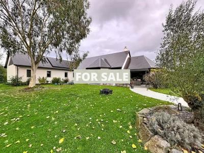 Contemporary Detached House with Pool