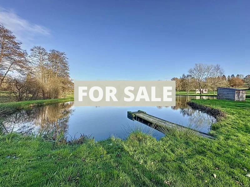 Main House, Two Lakes, Fish Farm and Land