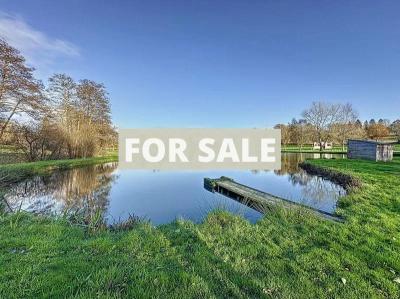 Main House, Two Lakes, Fish Farm and Land