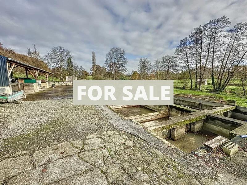 Main House, Two Lakes, Fish Farm and Land