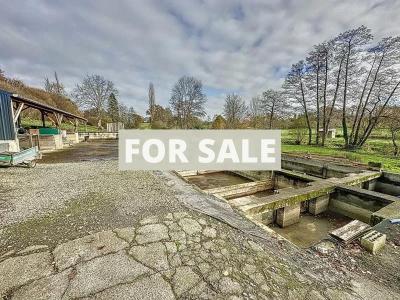 Main House, Two Lakes, Fish Farm and Land