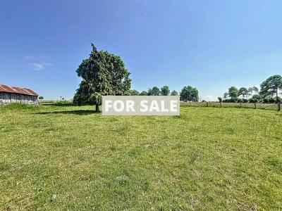Property For Sale