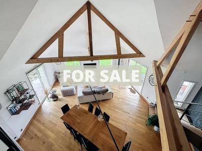 Detached Country House with Mont-St-Michel View