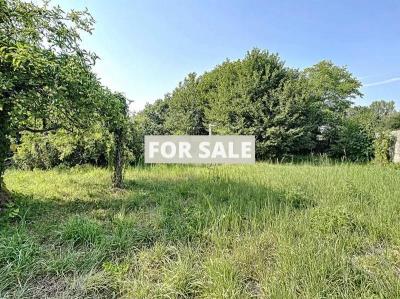 Detached House with Garden by the Coast